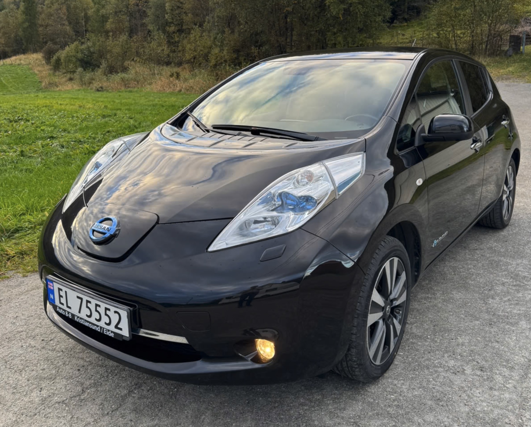 NISSAN LEAF 30 kWh Tekna BOSE audio NAVI